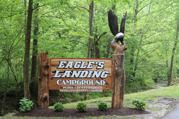 eagles_landing2.jpg